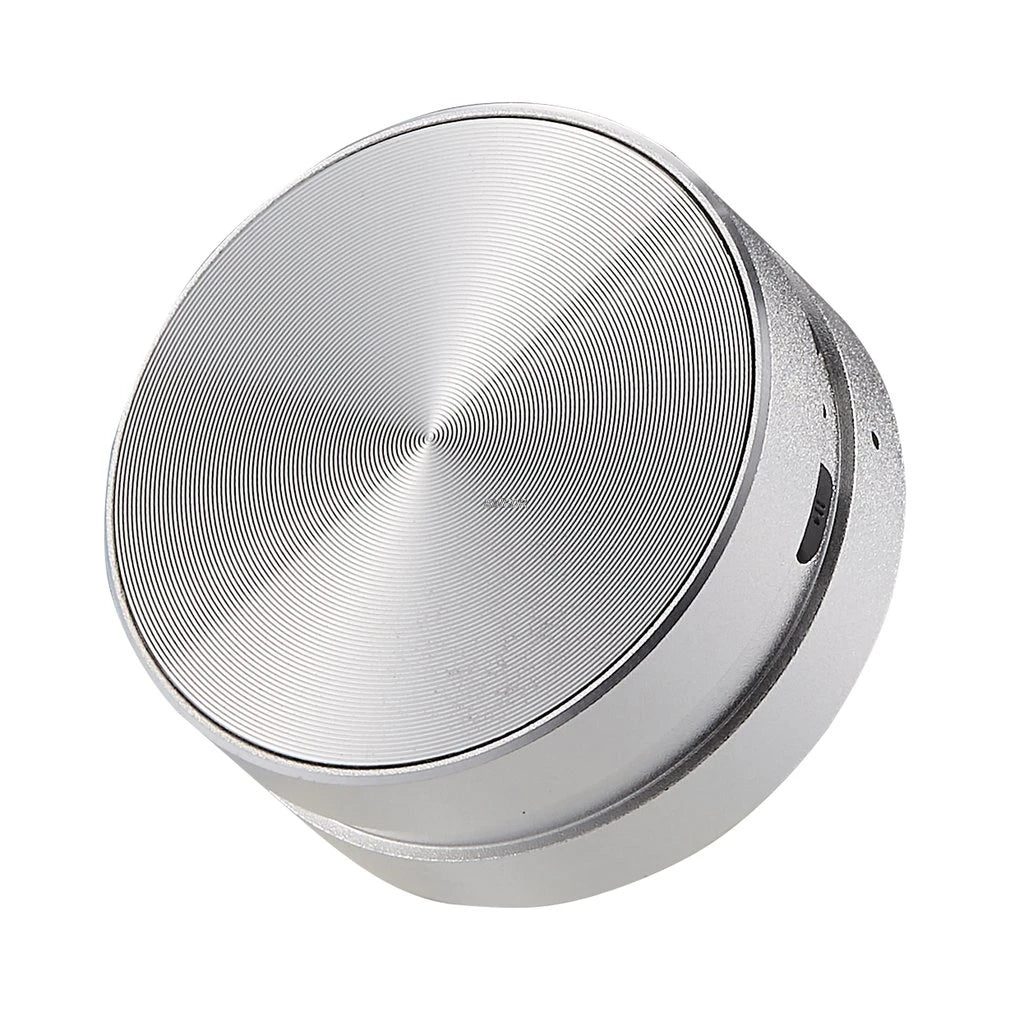 Conduction Speaker